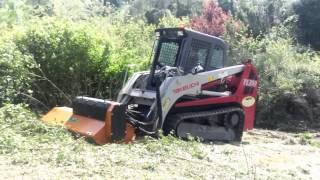 NOLEGGIO MACCHINE SPECIALIZZATE - Minipala cingolata Takeuchi TL250 + Decespugliatore AF/SSL200