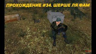 S.T.A.L.K.E.R. Золотой Шар. Завершение #34. Шерше ля Фам.