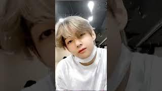 Yawning Tae Tae, Baby Bear 