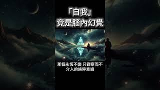 「自我」竟是腦內幻覺！覺察者的奧秘，如何找到真正的自己？ #開悟 #覺醒