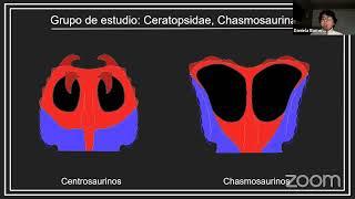 "Coahuilaceratops: el primer dinosaurio reportado de la formación Cerra Huerta"