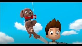 PAW Patrol: Zuma Almost Flies Away Again Twice.