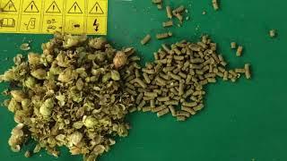 Fabriquer granulés de Houblon - Houblon pellets - Hop pellets