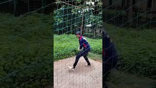 Powerful Front Foot Drive Practice | Cricket Batting Practice #cricket #shorts#youtubeshorts #video