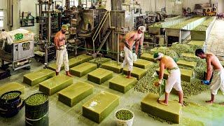 How Millions Tons of Olive Soap Bars Are Produced in the Factory - Harvesting and Processing Olives