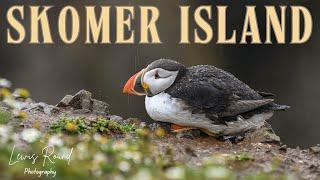 Photographing PUFFINS in Summer Rain | Skomer Island, Pembrokeshire