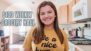 WEEKLY GROCERY HAUL // Meal Planning On A Budget