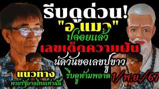 ด่วน!!อ.แมวปล่อยแล้วเลขเด็ดความฝัน3ตัวตรงๆ#นัดวันขอเลข"ปู่ขาว"#ห้ามพลาด(1พ.ย.67)#หวยรัฐบาลไทยงวดนี้