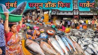 Sassoon Dock Fish Market | मोठमोठे मासे आणि तेही स्वस्त |ससून डॉक फिश मार्केटमध्ये 