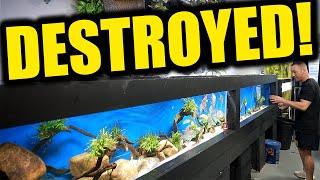 They destroyed my 16 foot aquarium!!