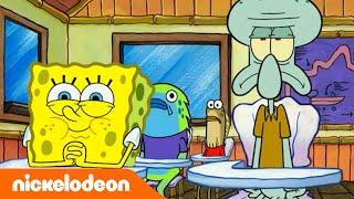 SpongeBob | Skalmar idzie do szkoły jazdy | Nickelodeon Polska