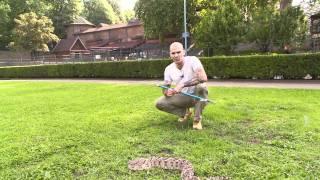 Belgrade Zoo 2011 Episode 11 Part 2