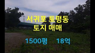 서귀포시 토평동 저렴한 토지매매