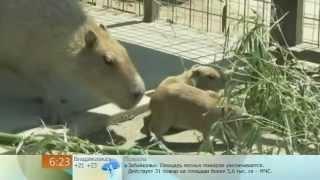 DU-20120505-09.mp4