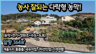 #525 [송해면농막], 토지364㎡, 공들여 잘 가꾼 텃밭과 다락형 농막을 싼값에 처분합니다.