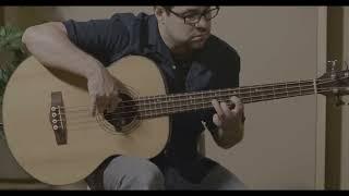 MJS Custom Pickups w/Justin Gray DEMO – 4-String Acoustic Soundhole Bass