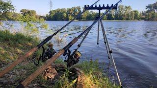 НЕ ВСТИГАЮ КИДАТИ ФІДЕР! Клюють один за одним. Ранкова рибалка на Дніпрі