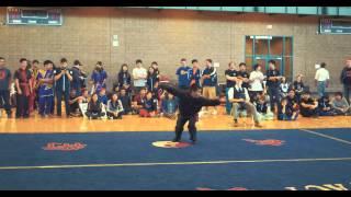 Taeshin Lee - Fanzi - Men's Advanced Open Barehand - 19th Wushu Colleigates 2015 @ UCI