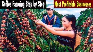 Coffee Farming - How to Start Your Own Business Coffee Farm - Most Profitable Businesses