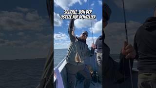 Plattfisch aus der Ostsee auf den Teller. #fishing #catchandcook #kutter #plattfisch