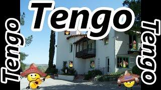 TENER (To Have) Verb Song - Present Tense - Spanish Conjugation - La Conjugación del Verbo TENER