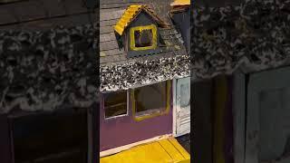 Almost finished our Halloween house|scaredy boo!