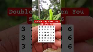 Double tap When You Spot"3336 #search #puzzle #shorts