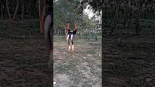 how to back flip backflip tutorial how to do a backflip learn how to backflip#viral#short#video