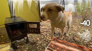 Extreme Winter Camping in Alaska (-40C) Winter Camping Hot Tent | Alone with My Dog in Forest