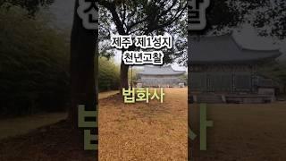 #법화사 #천년고찰 #사찰 #제주도 #제주여행지추천