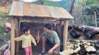 A single father and his daughter built a wooden duck coop