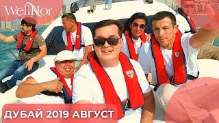 WellNor Dubaiga Sayohat | Путешествие в Дубай (2019)