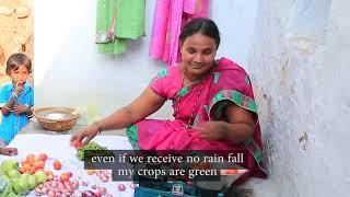 Zero-Budget Natural Farming in Andhra Pradesh, India