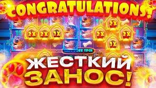 СЛОВИЛ БОНУСКУ ПО 3200 В THE DOG HOUSE MULTIHOLD! ЗАНОСЫ НЕДЕЛИ!