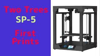 Two Trees SP-5 3D Printer First Print!