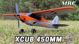 HobbyZone XCUB 450mm Review - Kinda Disappointing