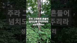 성경의 경제원리 #인바이블 말씀사역 #shorts #amen