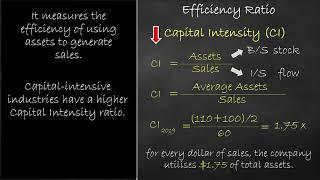 Efficiency Ratio - Capital Intensity