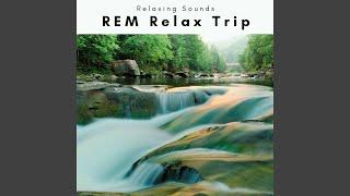 Gentle Journey of REM Relax