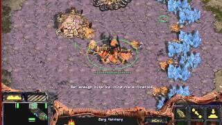 StarCraft Brood War [FPVOD] azbuka sc zerg urok2
