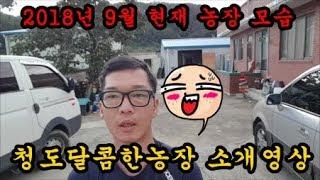 농장소개 청도달콤한농장모습 농장전경 저온저장고 냉동창고 판넬창고 청도달콤한농장