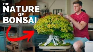 THE NATURE OF BONSAI