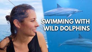 SWIMMING WITH WILD DOLPHINS (+First Impressions Of Grand Baie) – Mauritius Road Trip Ep. 7