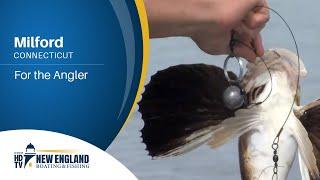 New England Boating: Milford - For the Angler