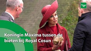 Koningin Máxima tussen de bieten bij suikerfabriek Dinteloord