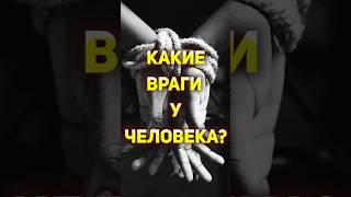 Какие враги есть у человека?