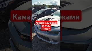 Камаро в дырках от пуль #carauction #cars #copart #эмиграция #аукционы #автоаукционы #копарт #обзор