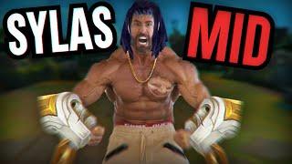 SYLAS MID INTO 4 SKINWALKERS