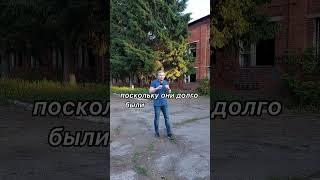 Покупка недвижимости с торгов по банкротству. Брокер по коммерческой недвижимости Никита Прейзнер.