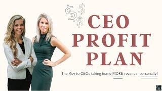 CEO Profit Plan Dashboard